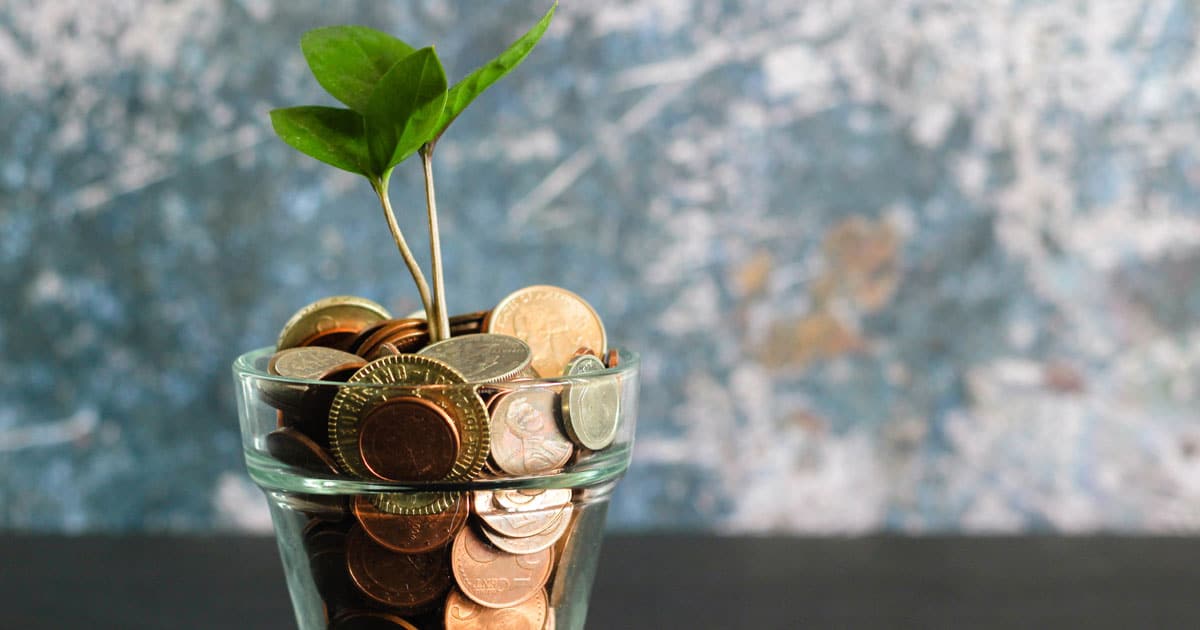 Investing for Beginners: Where and How to Start Growing Your Wealth